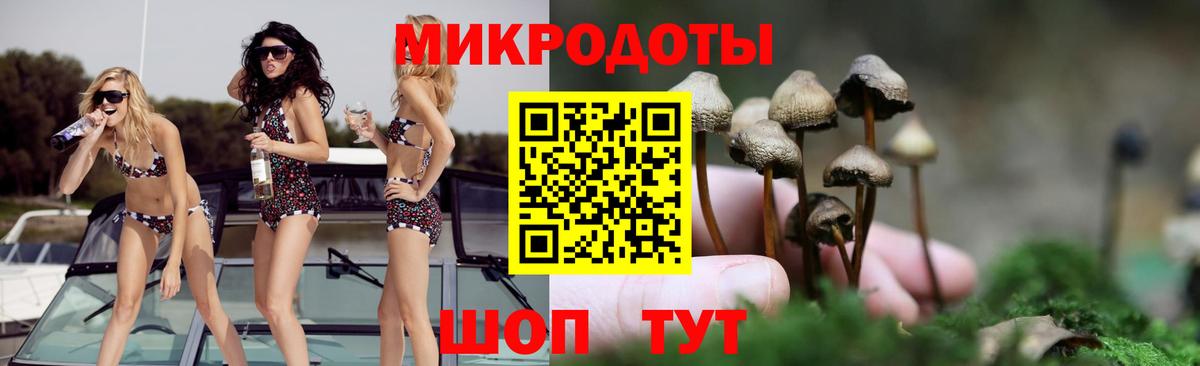 Галлюциногенные грибы мухоморы Славгород
