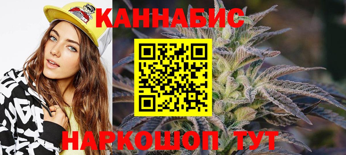 Каннабис планчик Славгород